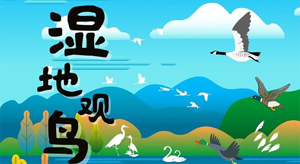 【獨立觀鳥一日營】走進白馬湖濕地，一起來探尋鳥兒的秘密